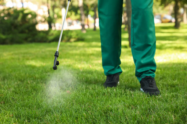 Professional Pest Control in Westmont, PA